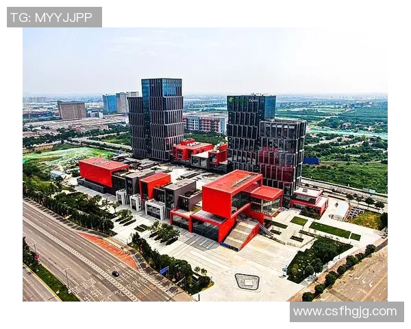 西安羽毛球队转型之路的得与失分析与展望