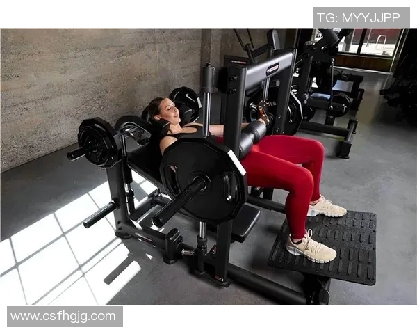 进口高端健身器材品牌与选择：选择进口高端器材时需要注意的事项