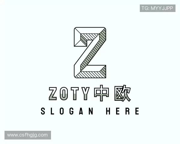 介绍zoty中欧体育
